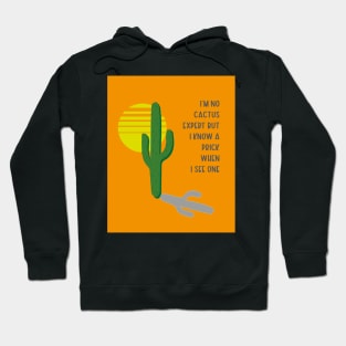 Color blocking desert landscape abstract vibrant art prick joke cactus expert Hoodie